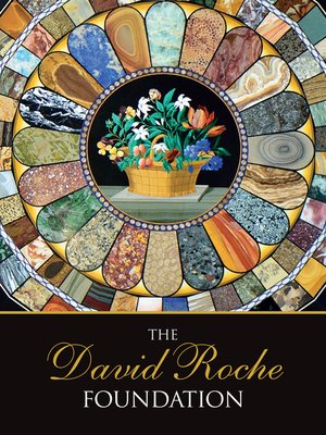 cover image of The David Roche Foundation